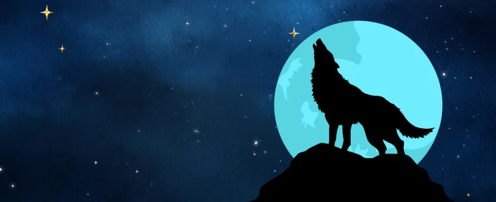 Wolf Winner Casino Australia